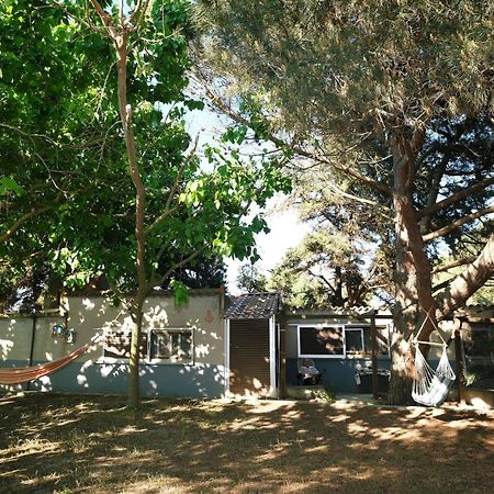 Villa Limnos Stone House Kalliopi Exterior foto